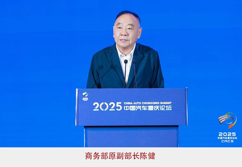 37000Cm威尼斯官方陈健：汽车财产收支口和投融资都应正视效劳商业